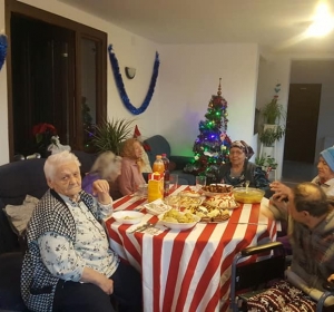 Schwabenhause Diana - Caminul pentru batraneti linistite!